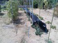 IMG_20260811_115928