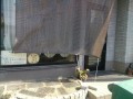 IMG_20260811_152050