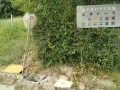 IMG_20260812_094304