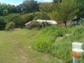 IMG_20260812_094341