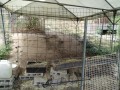IMG_20260812_095013