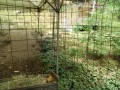 IMG_20260812_095020