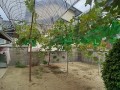 IMG_20260812_162434