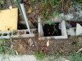 IMG_20260813_083538