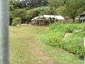 IMG_20260813_083602