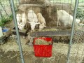 IMG_20260813_083830