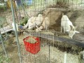 IMG_20260813_083836