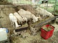 IMG_20260813_083845