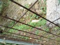 IMG_20260813_083850