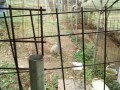 IMG_20260813_083913