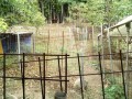 IMG_20260813_083915