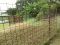 IMG_20260813_083921