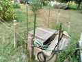 IMG_20260814_165346