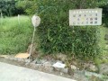 IMG_20260814_165351