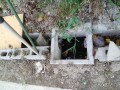 IMG_20260814_165357