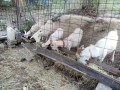 IMG_20260814_172004