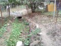 IMG_20260814_172023