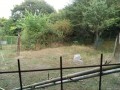 IMG_20260814_172059