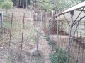 IMG_20260814_172119