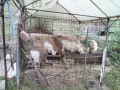 IMG_20260814_172139