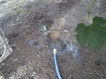 IMG_20260814_184420