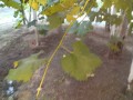 IMG_20260814_184426