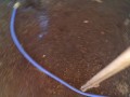 IMG_20260814_184432
