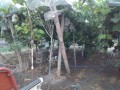 IMG_20260814_184455
