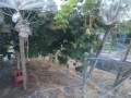 IMG_20260814_184458