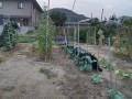 IMG_20260814_184610