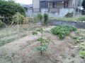 IMG_20260814_184624