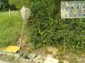 IMG_20260815_085216