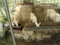 IMG_20260815_091841