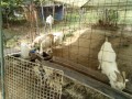 IMG_20260815_091851
