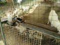 IMG_20260815_091856