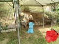 IMG_20260815_091918