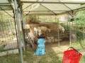 IMG_20260815_091920
