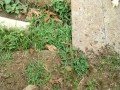 IMG_20260815_091931