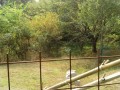 IMG_20260815_091944