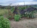 IMG_20260815_180812