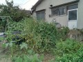 IMG_20260815_180830