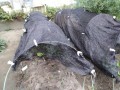 IMG_20260815_180841