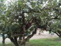 IMG_20260815_181346