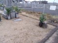 IMG_20260815_182655