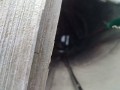IMG_20260816_082559