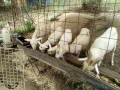 IMG_20260816_083417