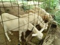 IMG_20260816_083429