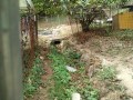 IMG_20260816_083433
