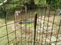 IMG_20260816_083458