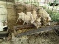 IMG_20260816_084208